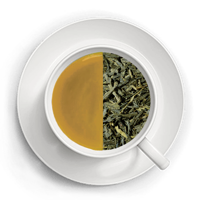 Grøn Te Sencha (Økologisk) - VildMedTe.dk