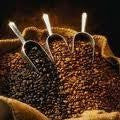 Mild Mélange - Fine Coffee Blend - VildMedTe.dk